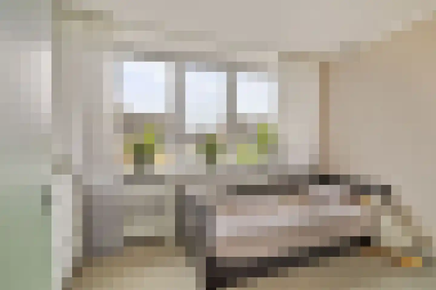 Bloemenstraat 24 Ridderkerk thumbnail 20