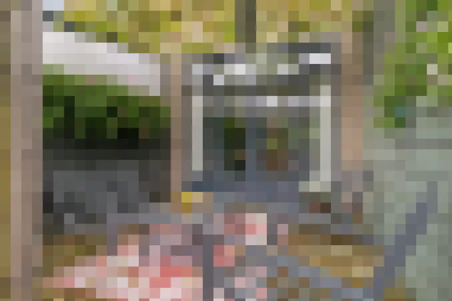 Bloemenstraat 24 Ridderkerk thumbnail 28
