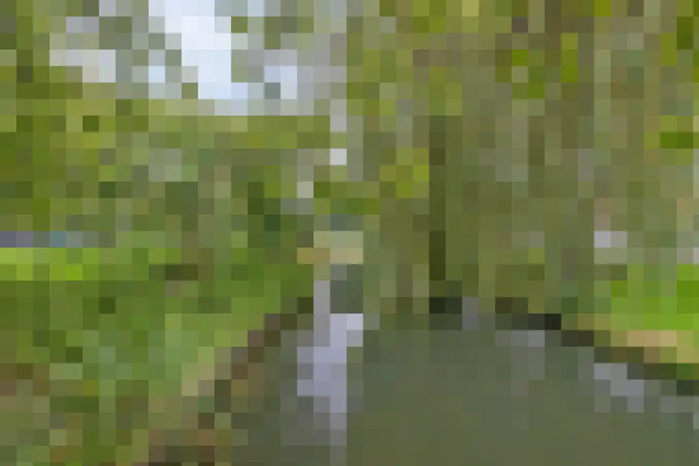 Bloemenstraat 24 Ridderkerk thumbnail 34