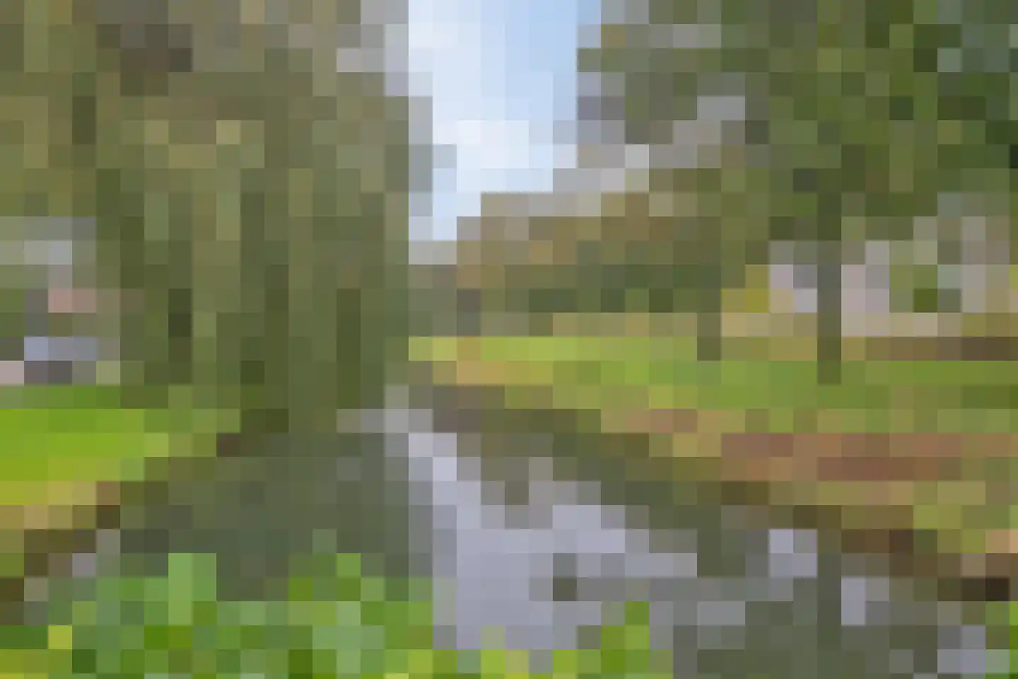 Bloemenstraat 24 Ridderkerk thumbnail 35