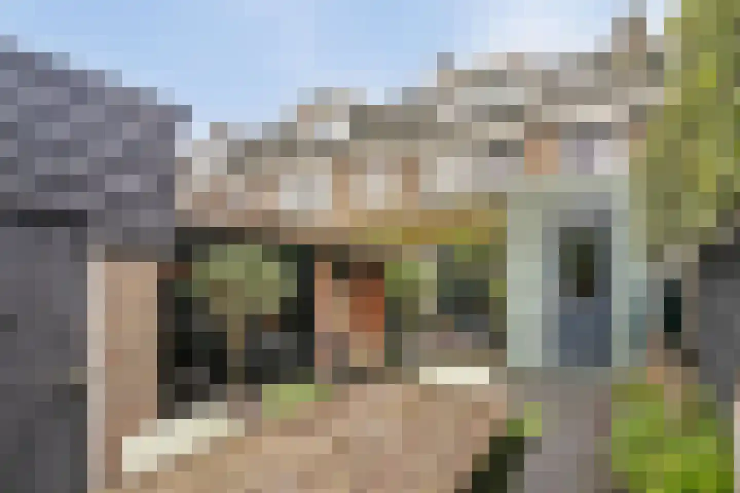 Bloemenstraat 24 Ridderkerk thumbnail 5