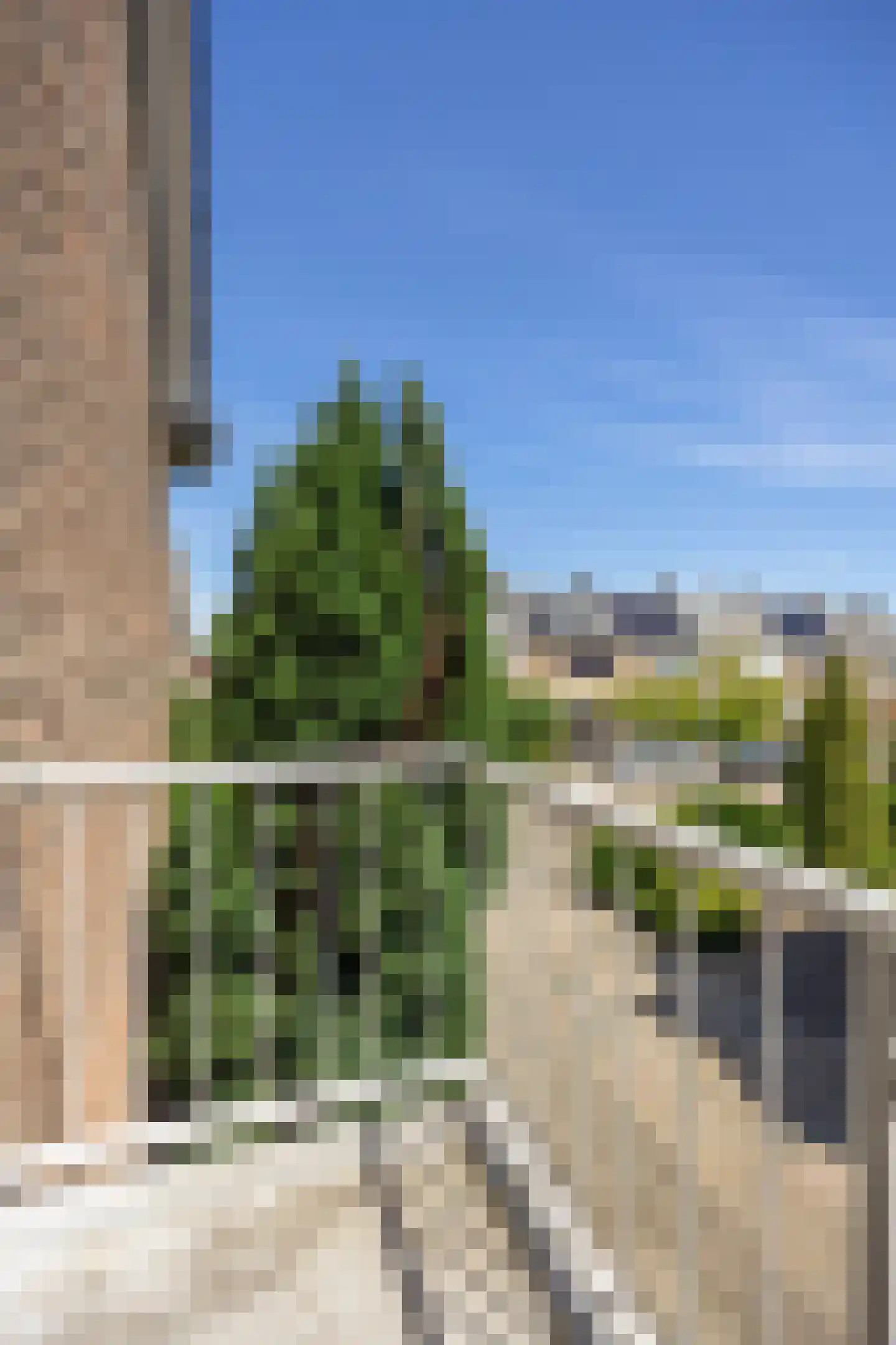Bloemenstraat 27 Ridderkerk thumbnail 22