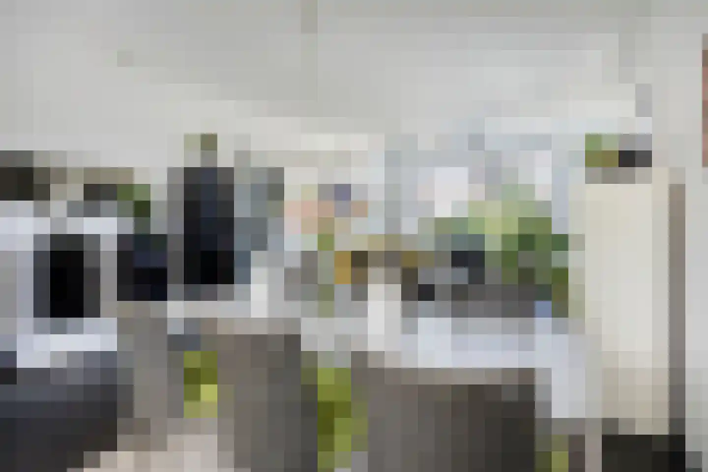 Bloemenstraat 27 Ridderkerk thumbnail 8