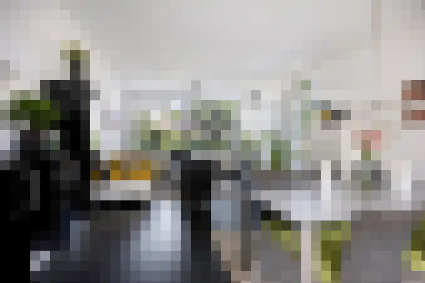 Bloemenstraat 27 Ridderkerk thumbnail 9