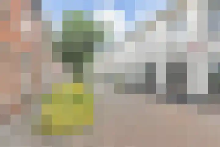 Bloemenstraat 3 Poeldijk thumbnail 24