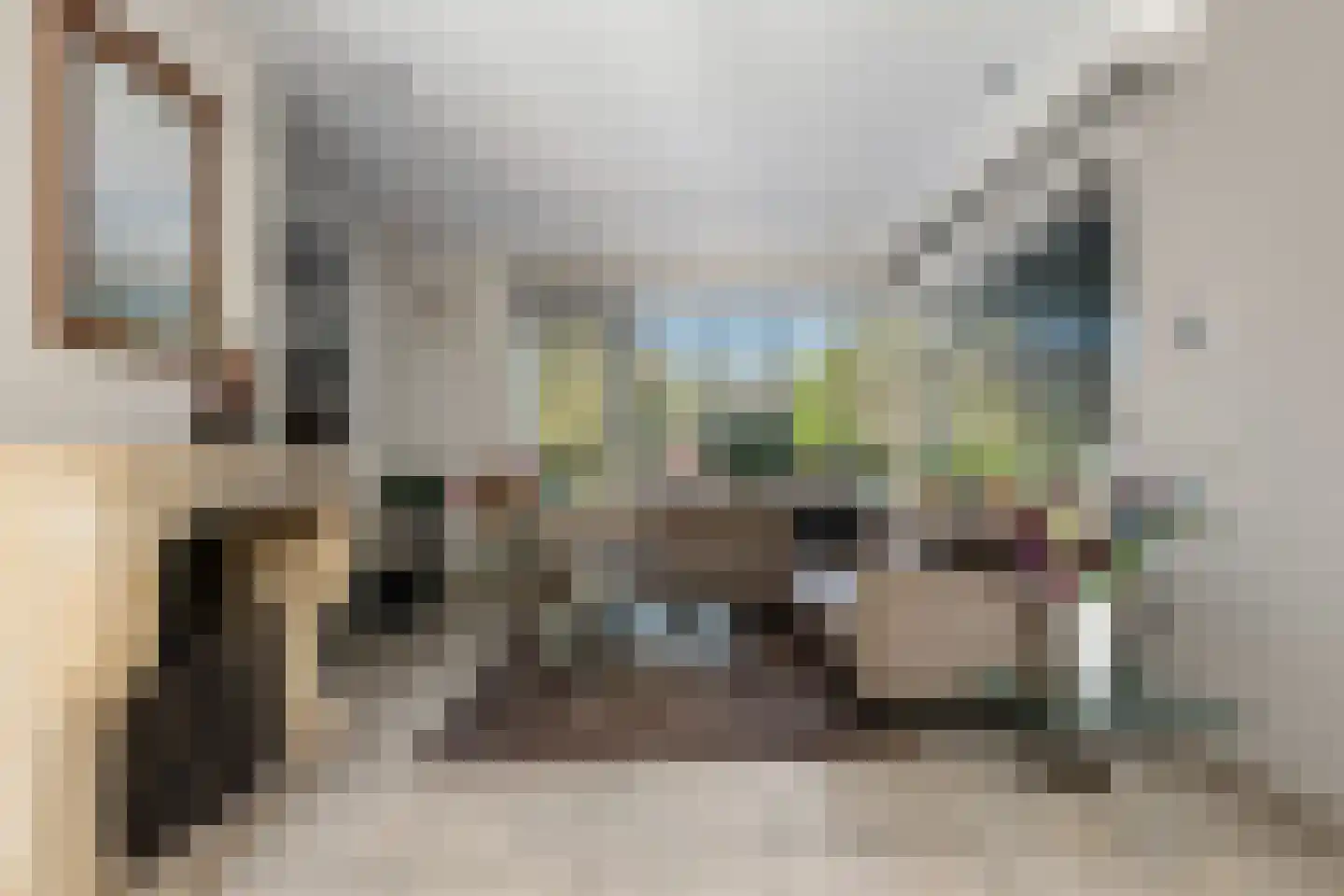 Bloemenstraat 3 Ridderkerk thumbnail 13