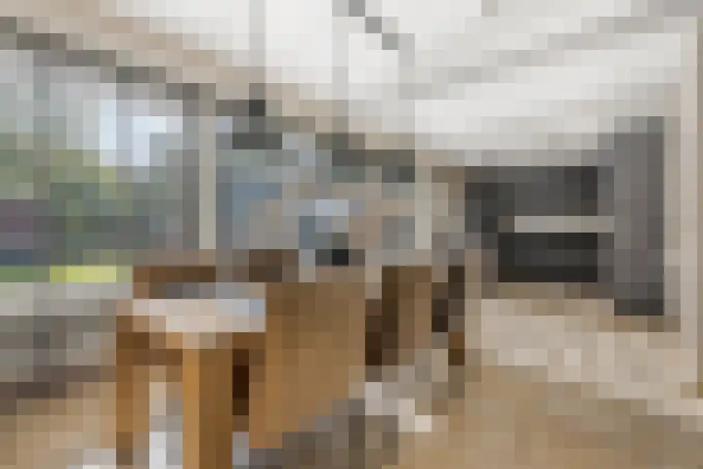 Bloemenstraat 3 Ridderkerk thumbnail 15
