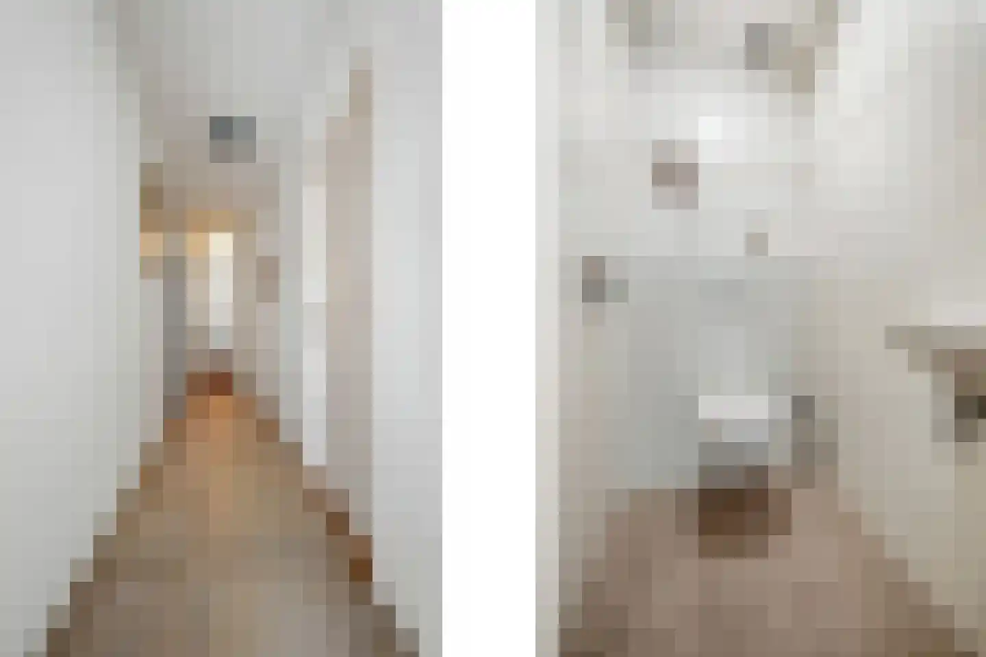 Bloemenstraat 3 Ridderkerk thumbnail 24