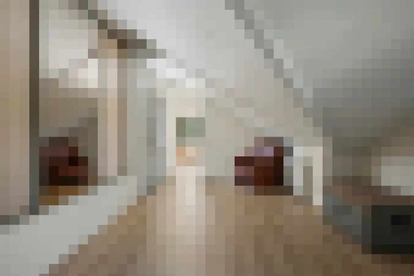 Bloemenstraat 3 Ridderkerk thumbnail 27