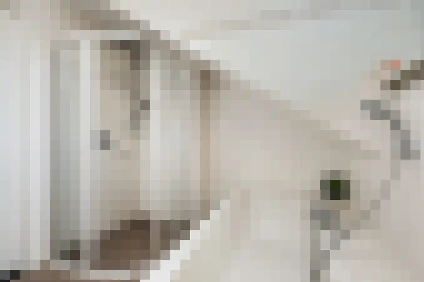 Bloemenstraat 3 Ridderkerk thumbnail 33
