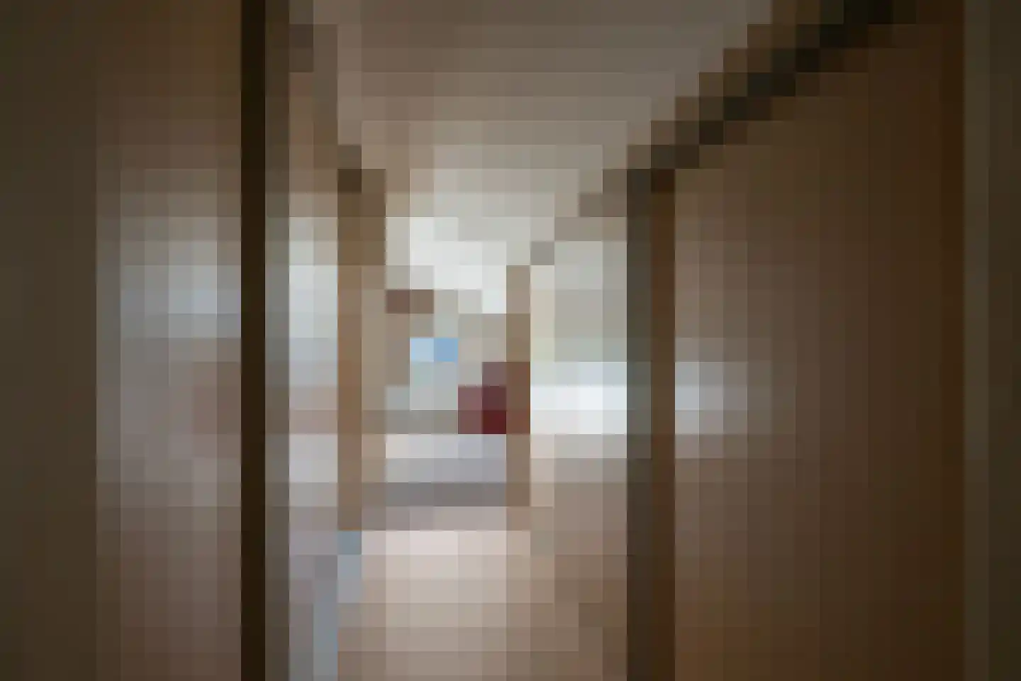 Bloemenstraat 3 Ridderkerk thumbnail 35