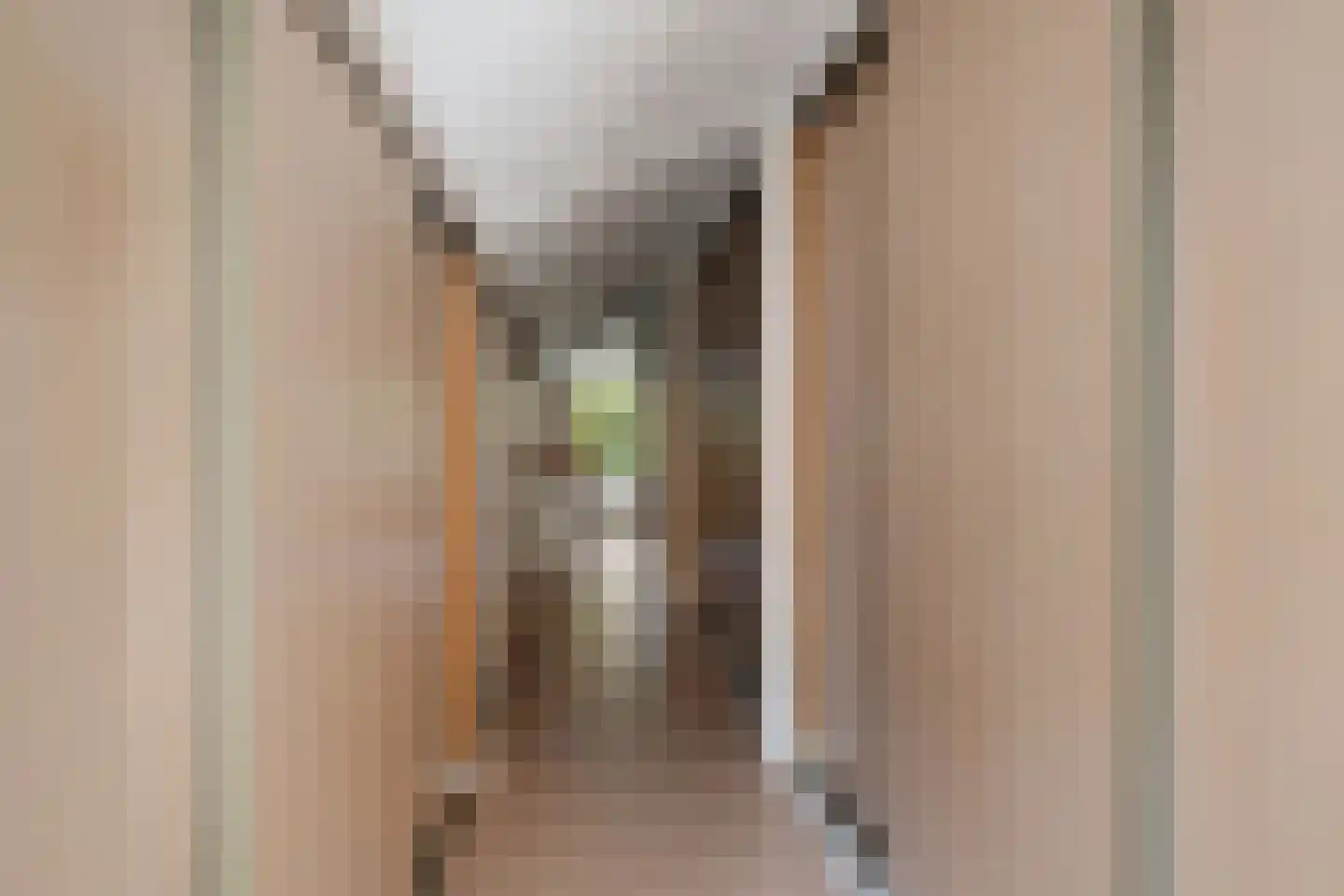 Bloemenstraat 3 Ridderkerk thumbnail 36