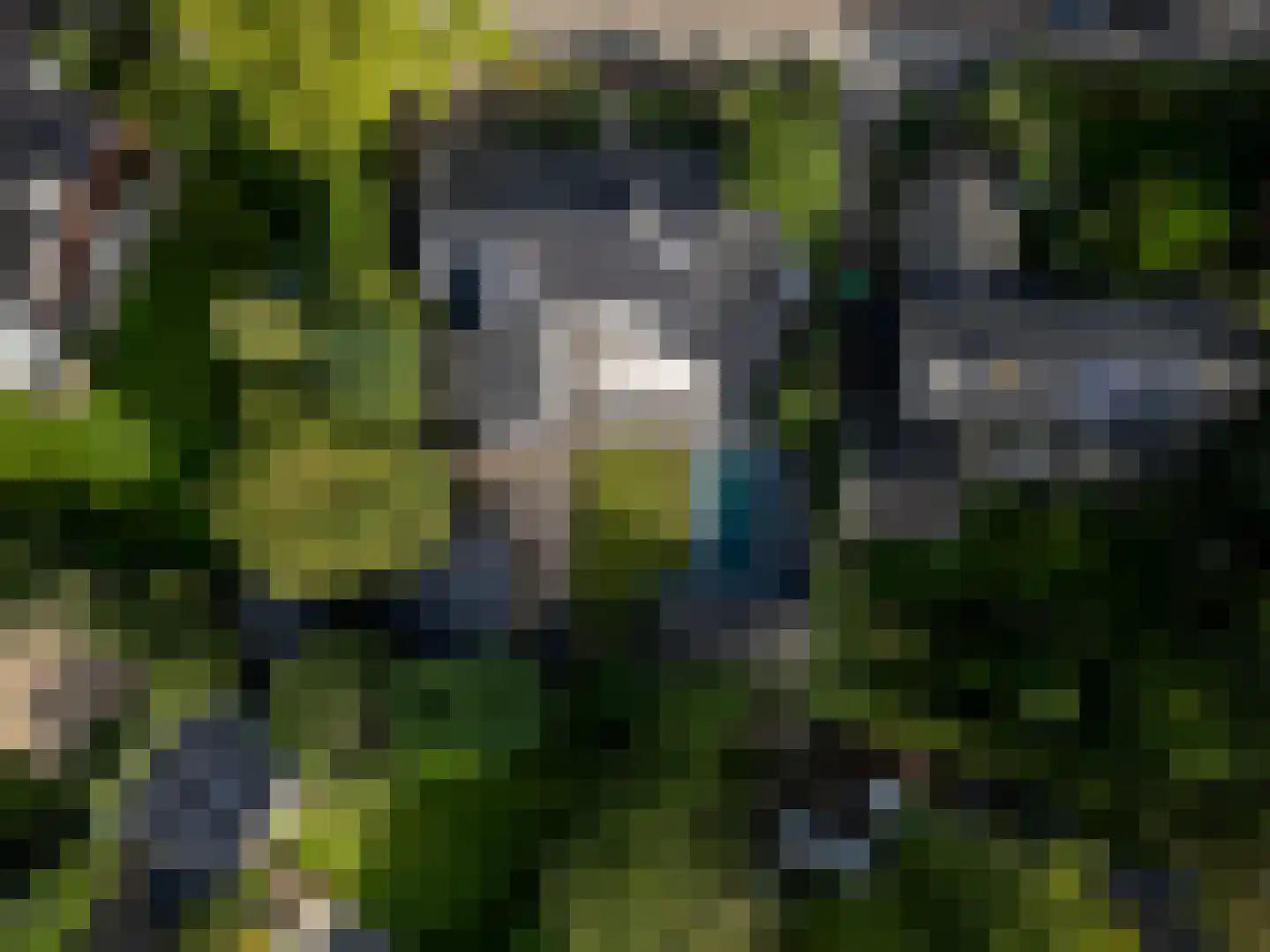 Bloemenstraat 3 Ridderkerk thumbnail 5