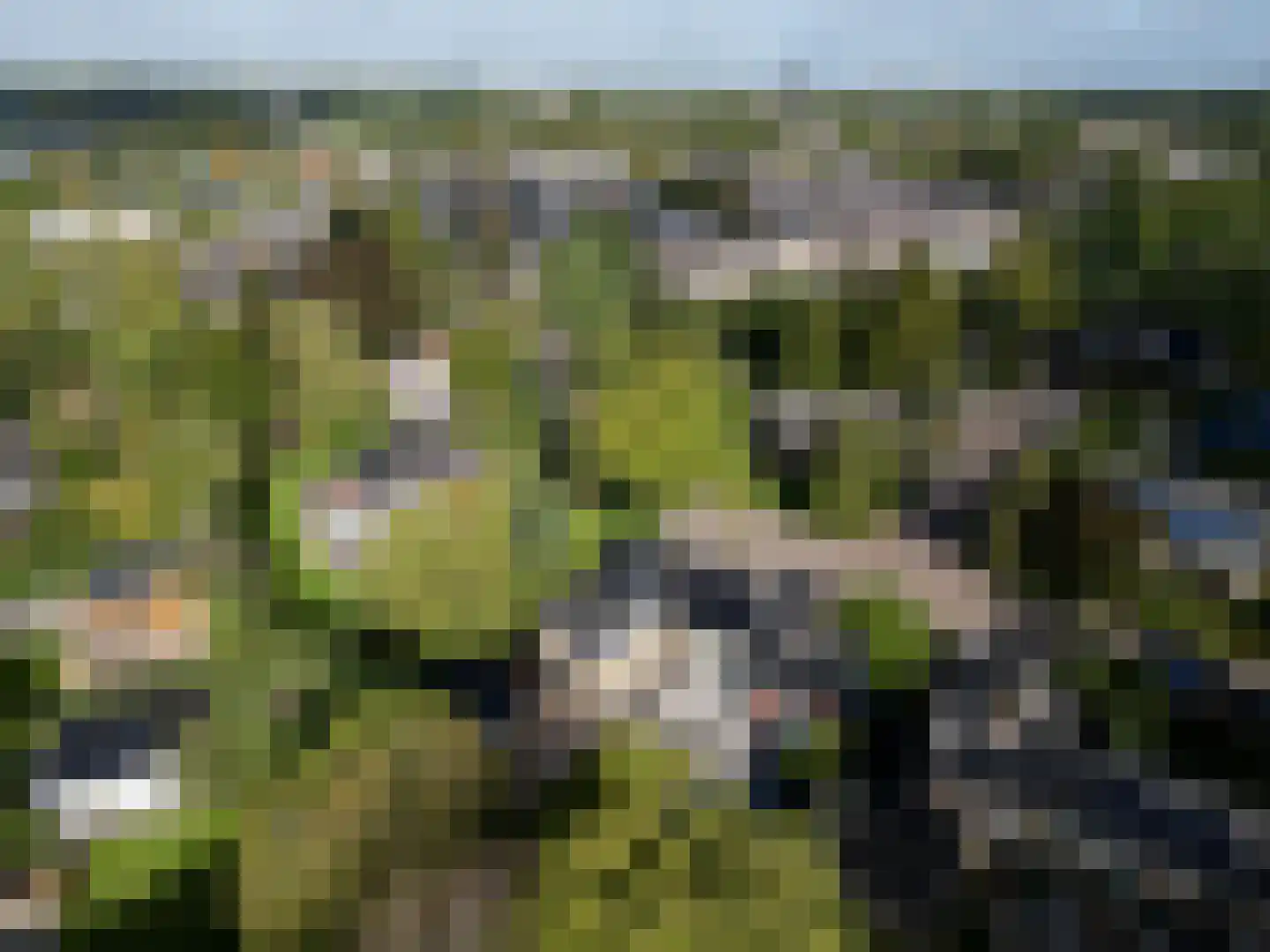 Bloemenstraat 3 Ridderkerk thumbnail 59
