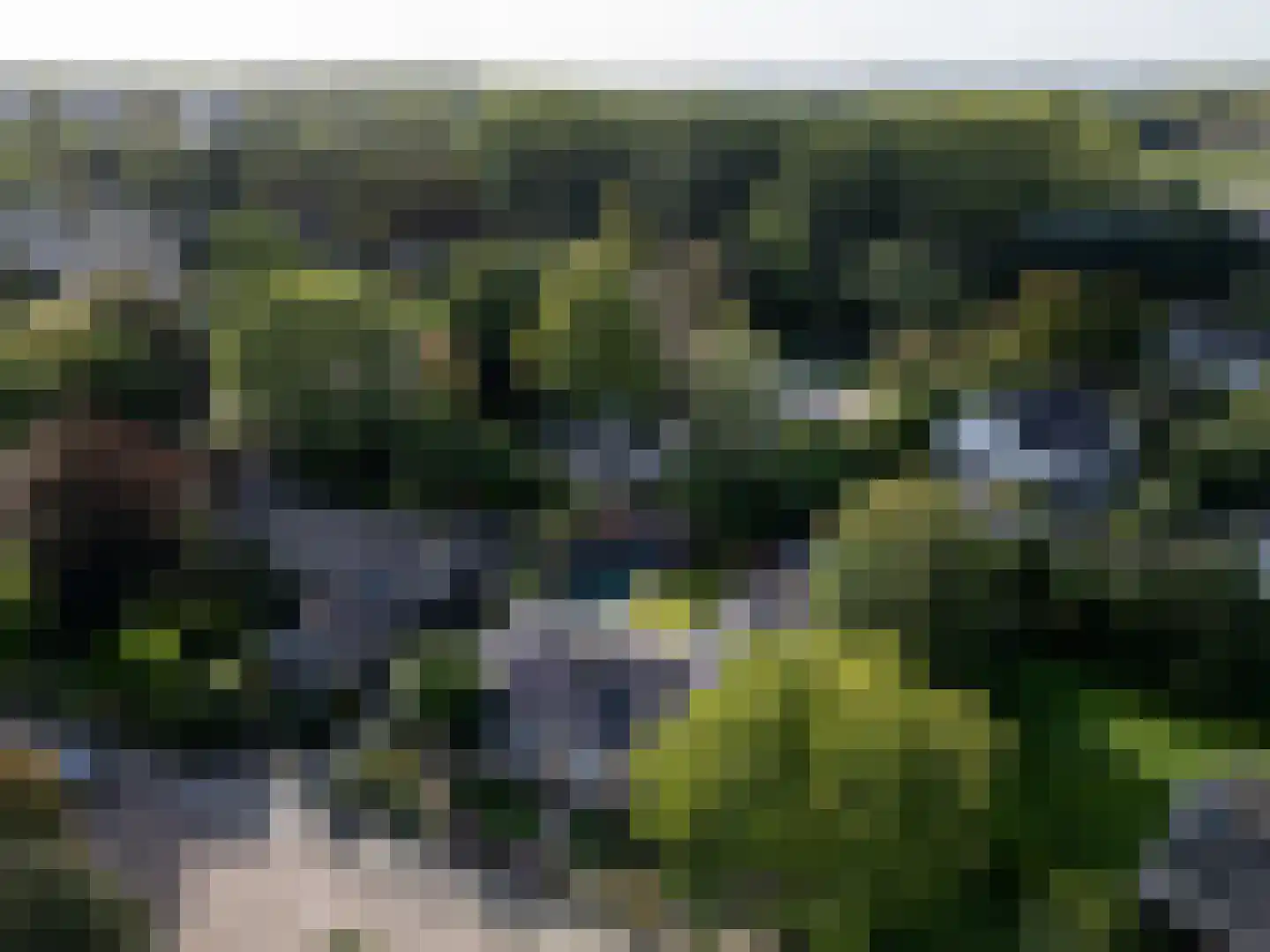 Bloemenstraat 3 Ridderkerk thumbnail 60