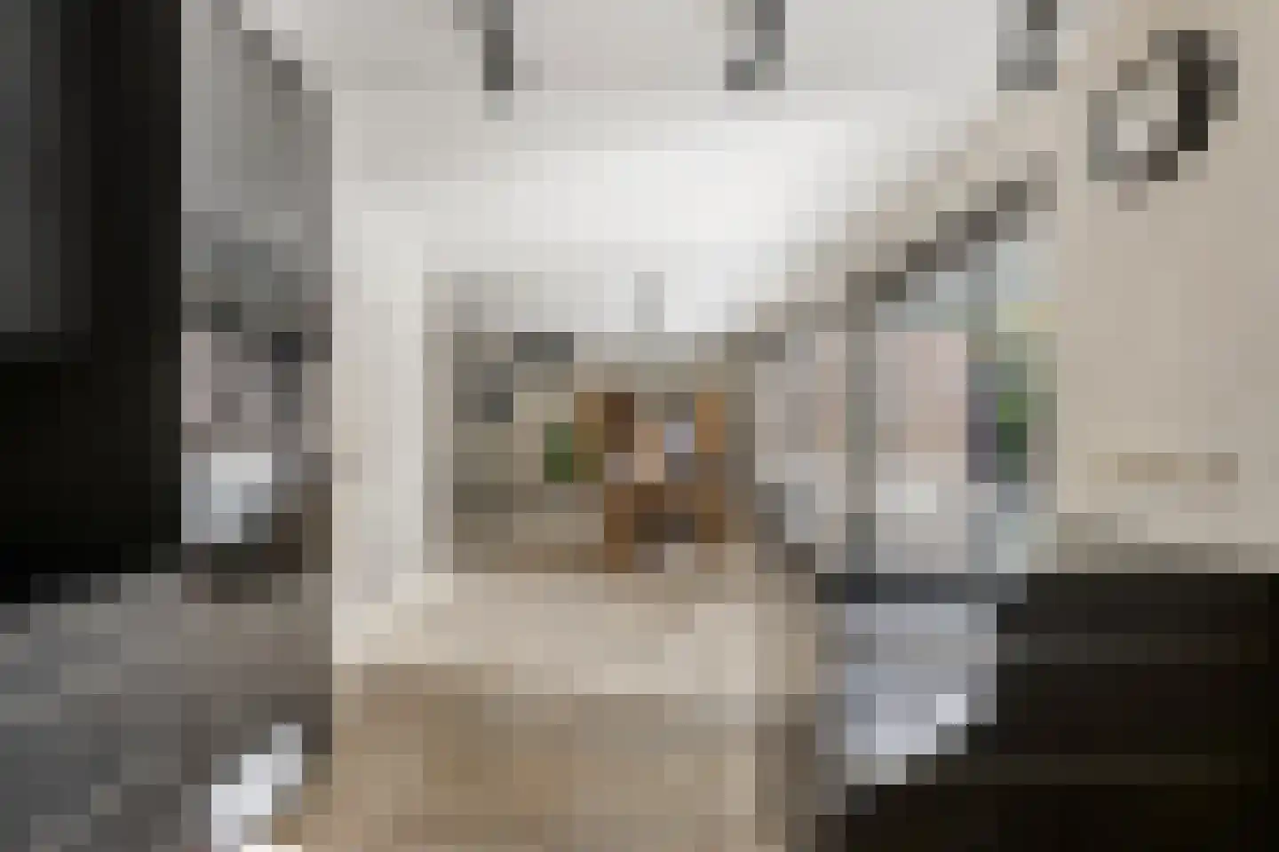Bloemenstraat 3 Ridderkerk thumbnail 7