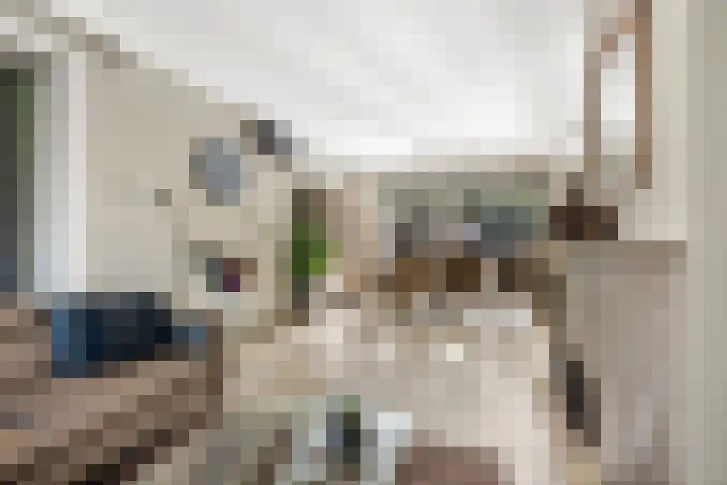 Bloemenstraat 3 Ridderkerk thumbnail 8