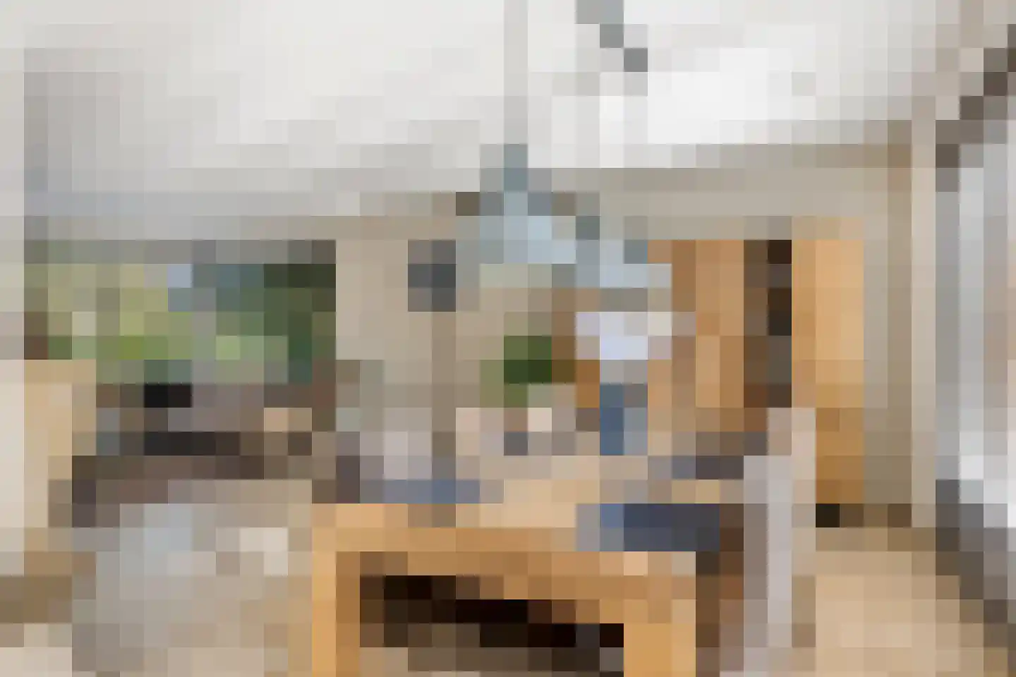 Bloemenstraat 3 Ridderkerk thumbnail 9
