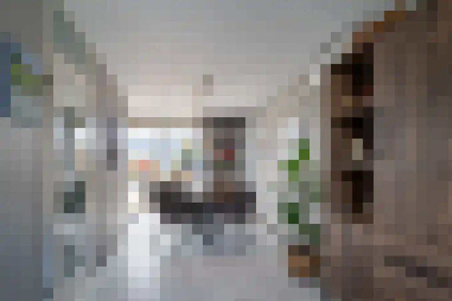 Bloemenstraat 4 Heerlen thumbnail 5