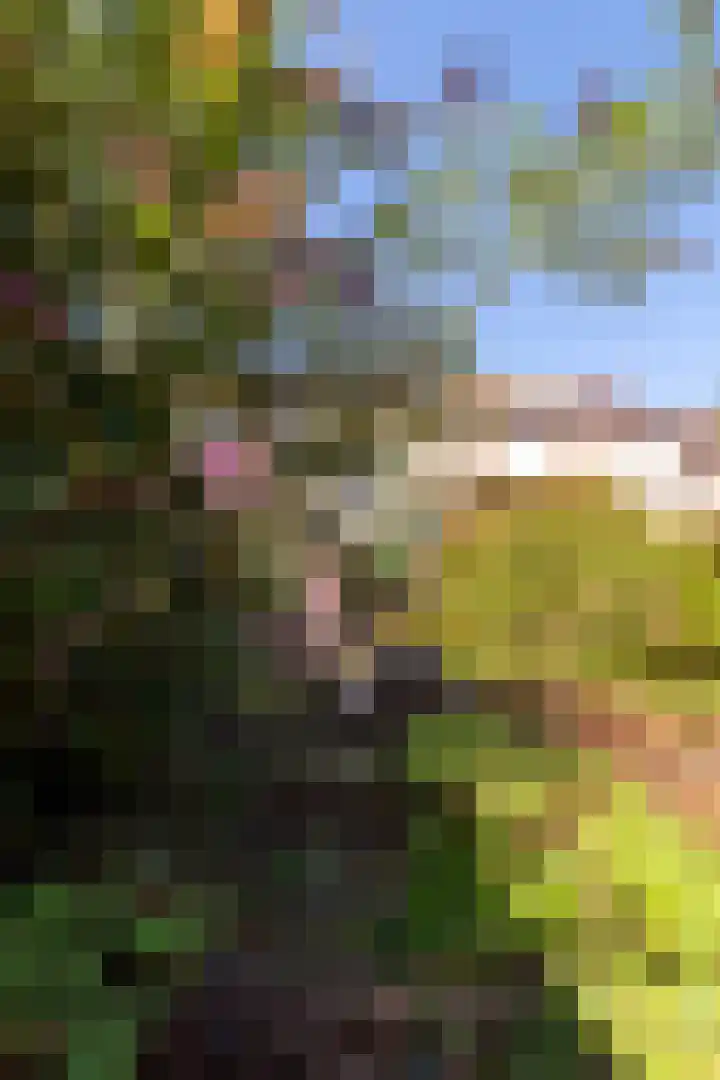 Bloemenstraat 40 Heerlen thumbnail 30