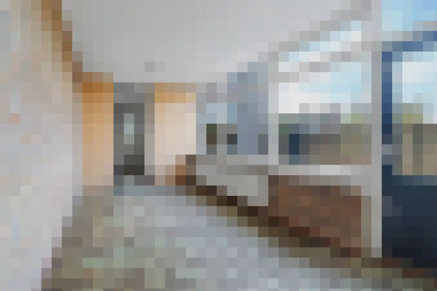 Bloemenstraat 42 Hilvarenbeek thumbnail 10