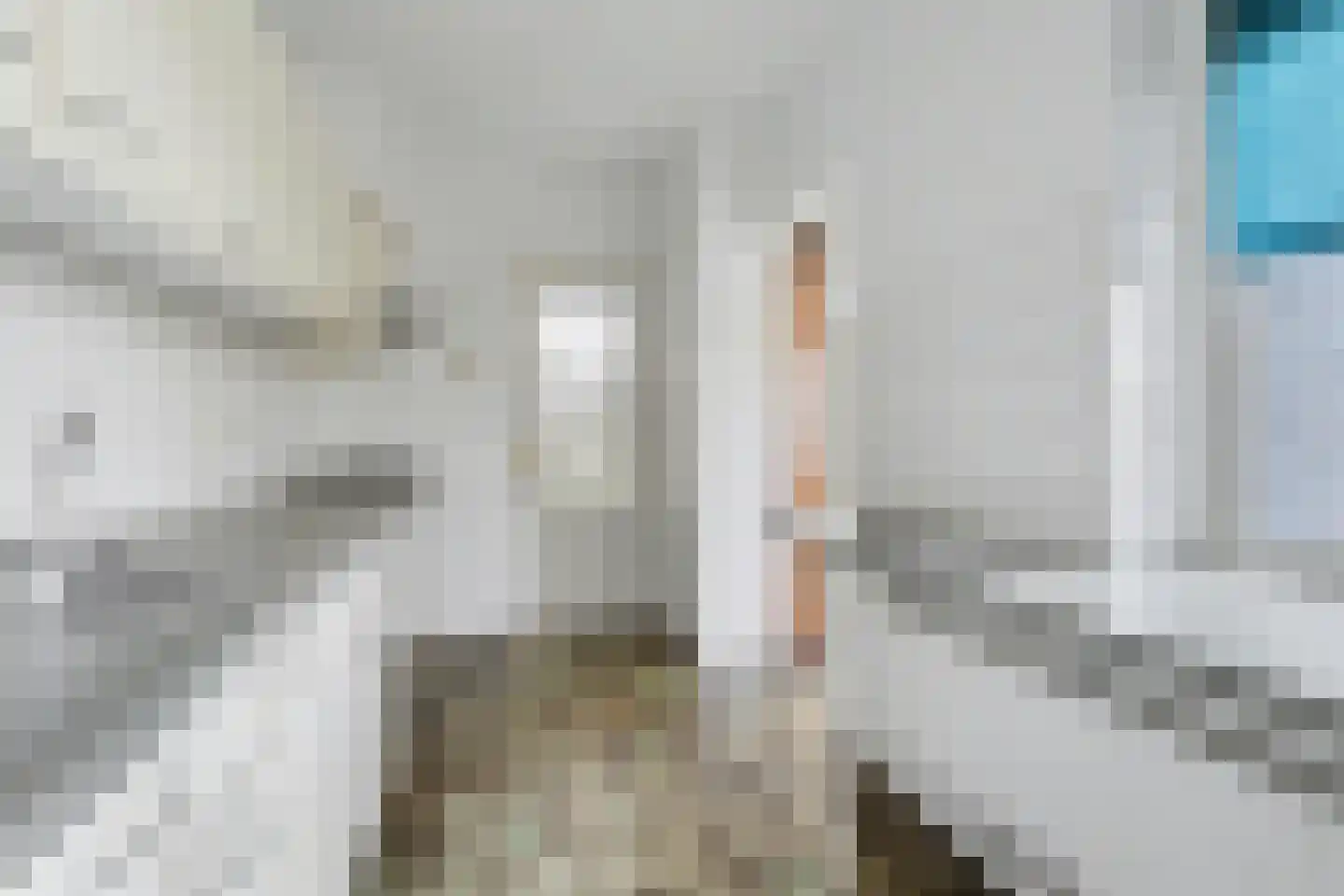 Bloemenstraat 42 Hilvarenbeek thumbnail 5