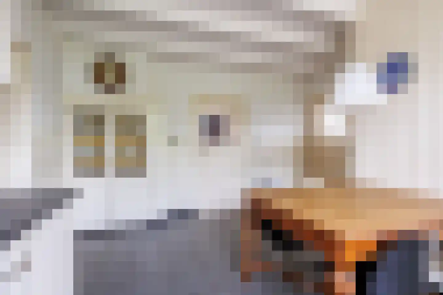 Bloemenstraat 42 Milsbeek thumbnail 22
