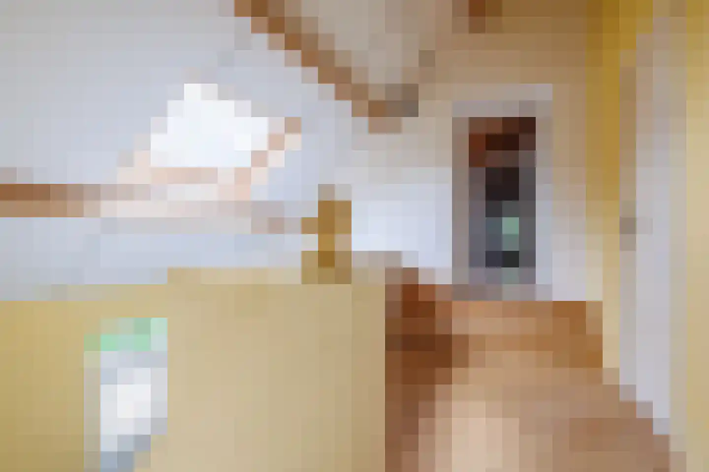 Bloemenstraat 42 Milsbeek thumbnail 38