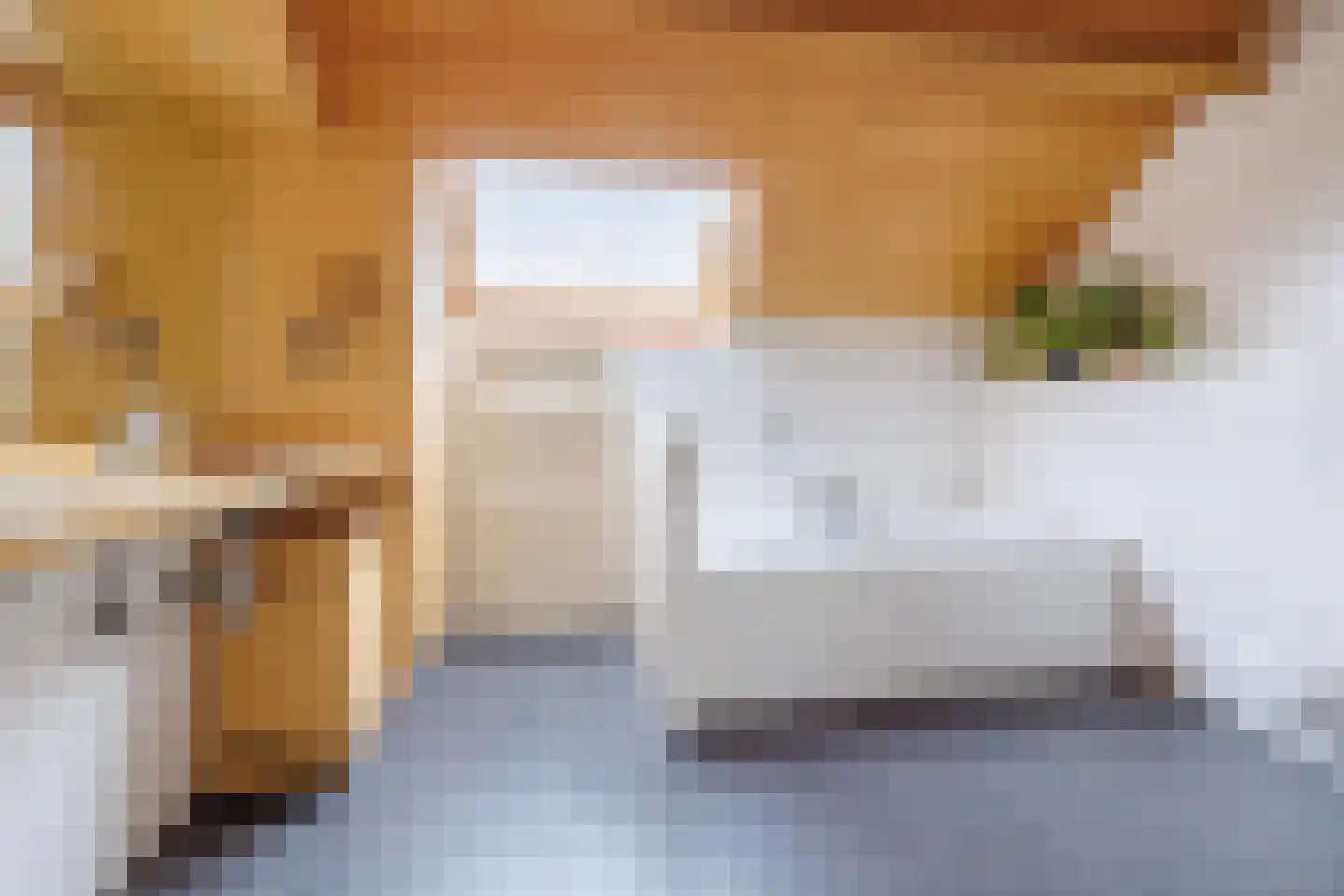 Bloemenstraat 42 Milsbeek thumbnail 4