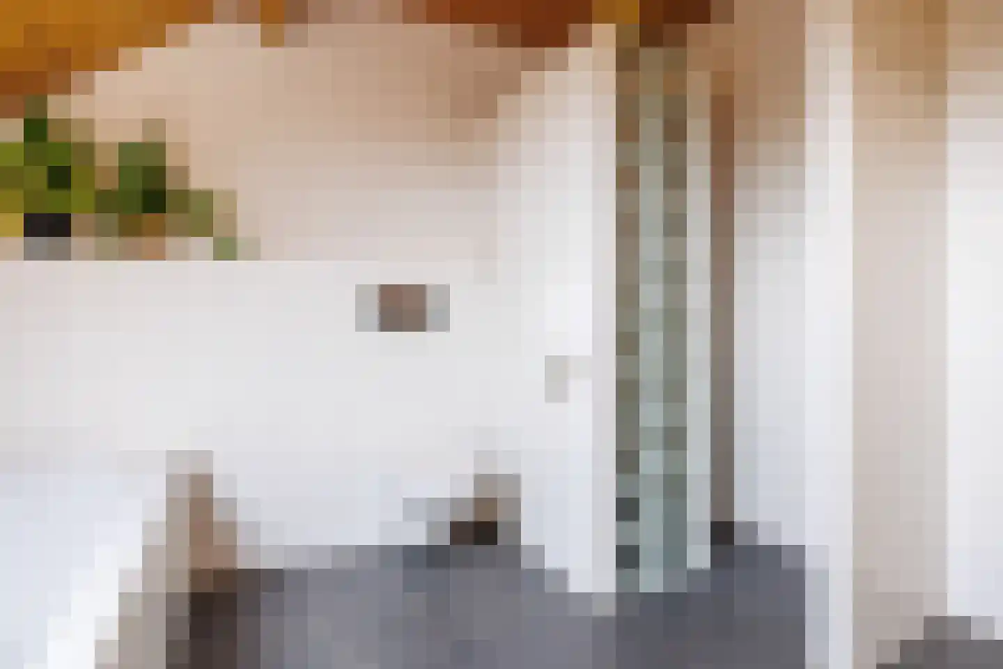 Bloemenstraat 42 Milsbeek thumbnail 44