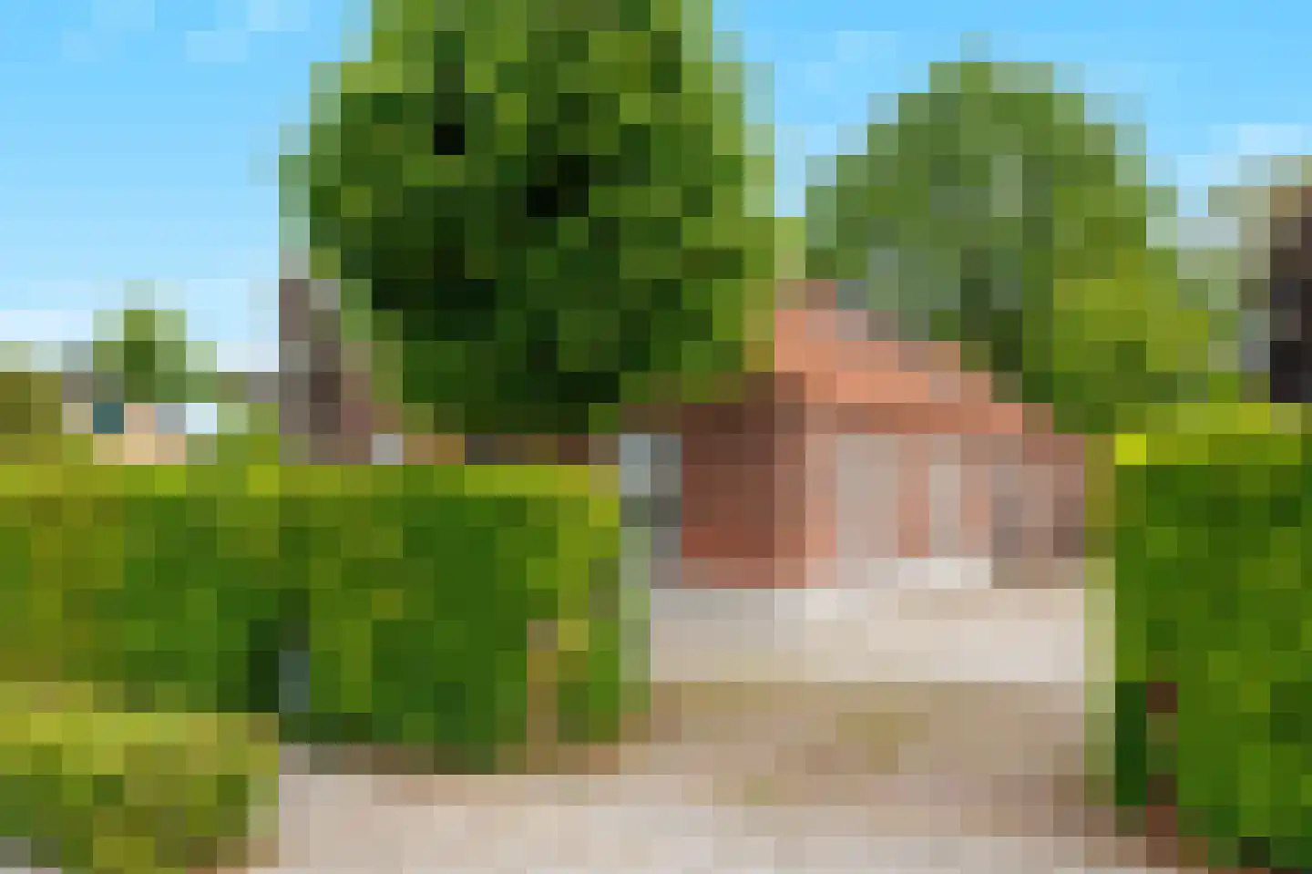 Bloemenstraat 42 Milsbeek thumbnail 55