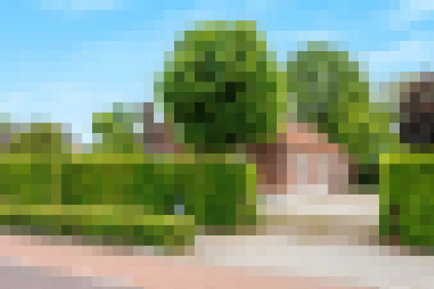 Bloemenstraat 42 Milsbeek thumbnail 56