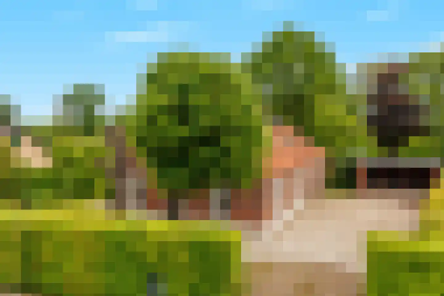 Bloemenstraat 42 Milsbeek thumbnail 57