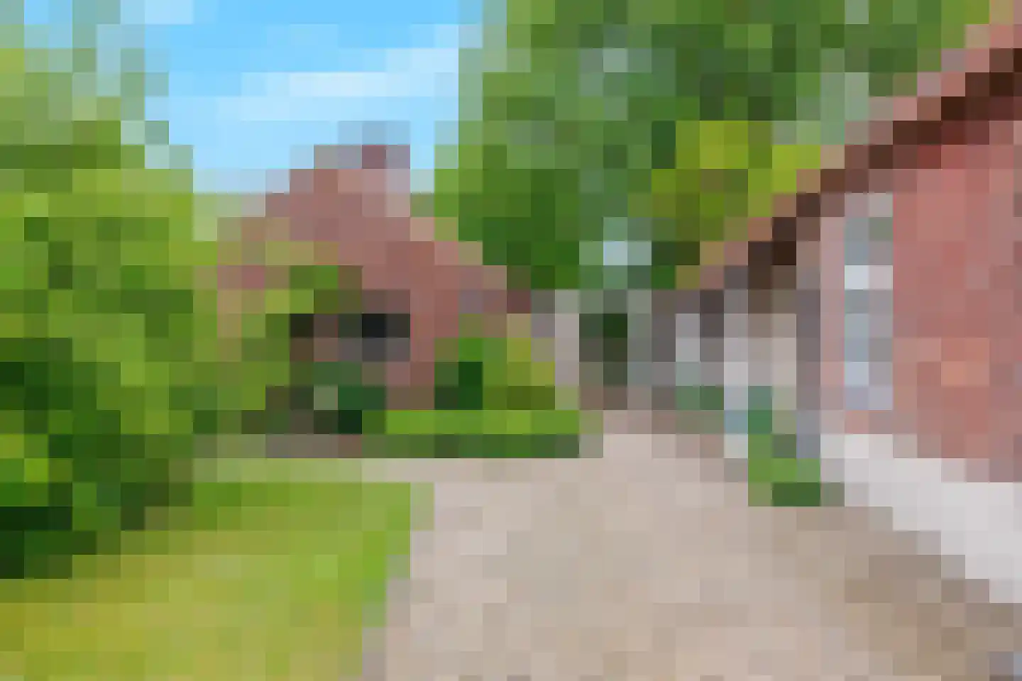Bloemenstraat 42 Milsbeek thumbnail 66