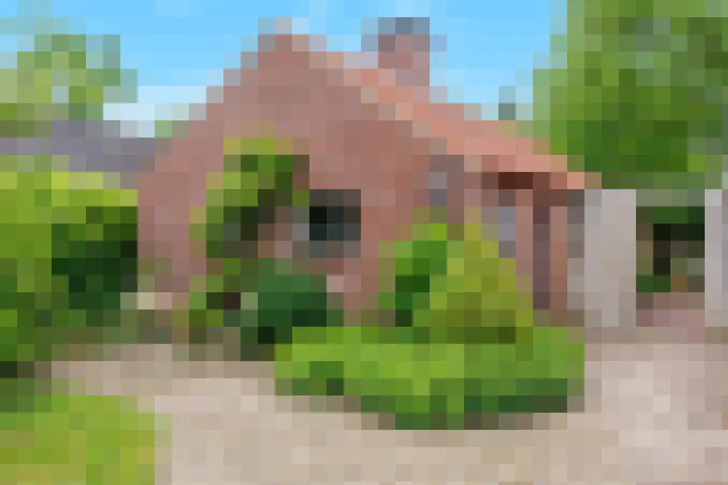 Bloemenstraat 42 Milsbeek thumbnail 67