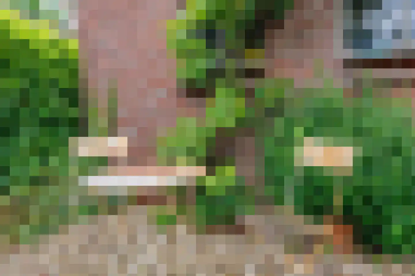 Bloemenstraat 42 Milsbeek thumbnail 68