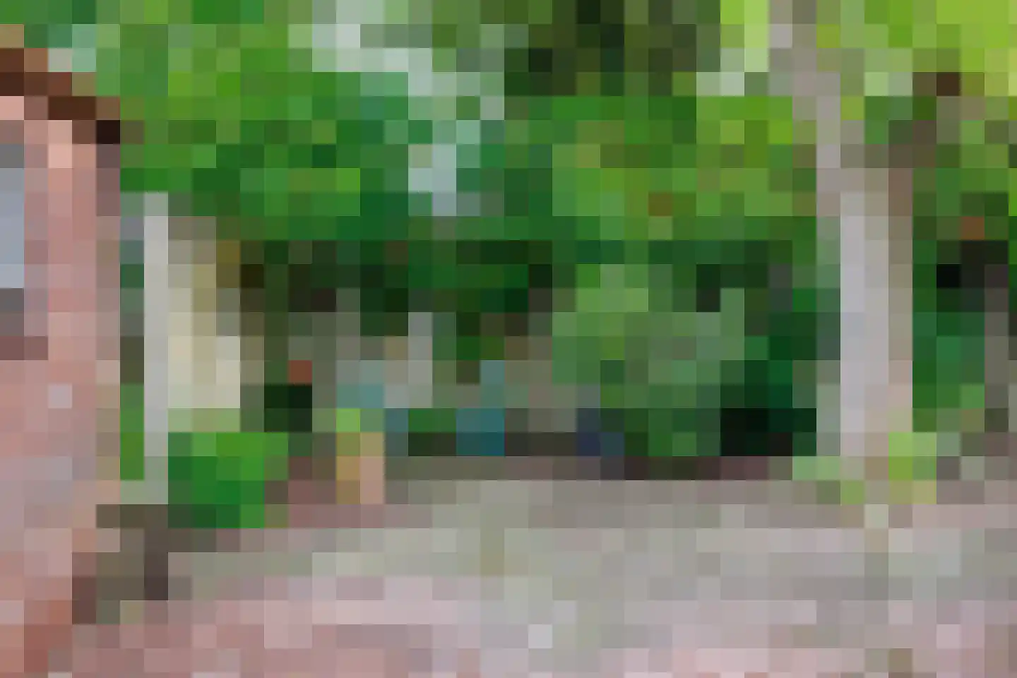 Bloemenstraat 42 Milsbeek thumbnail 72