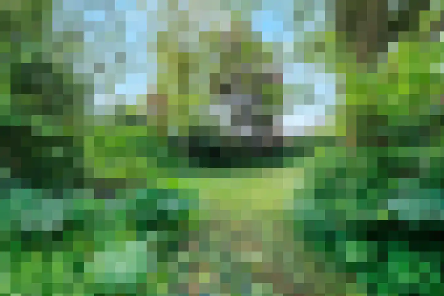 Bloemenstraat 42 Milsbeek thumbnail 76