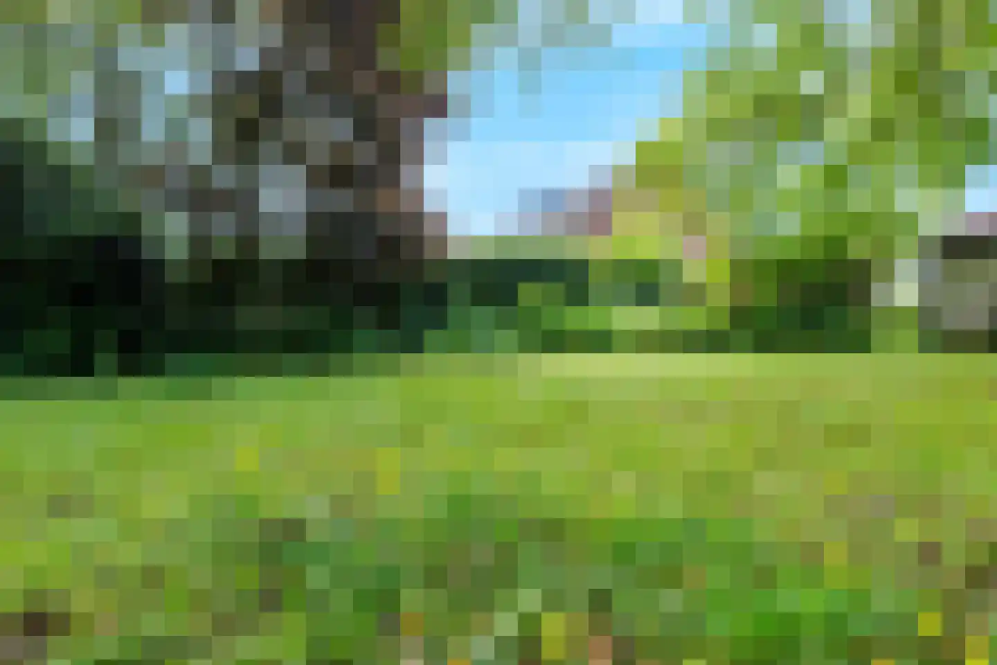 Bloemenstraat 42 Milsbeek thumbnail 77