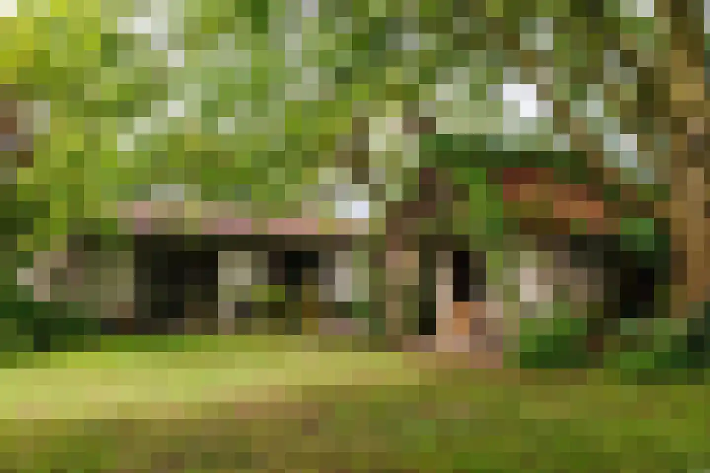 Bloemenstraat 42 Milsbeek thumbnail 78