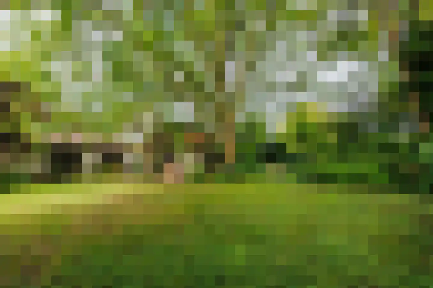 Bloemenstraat 42 Milsbeek thumbnail 79