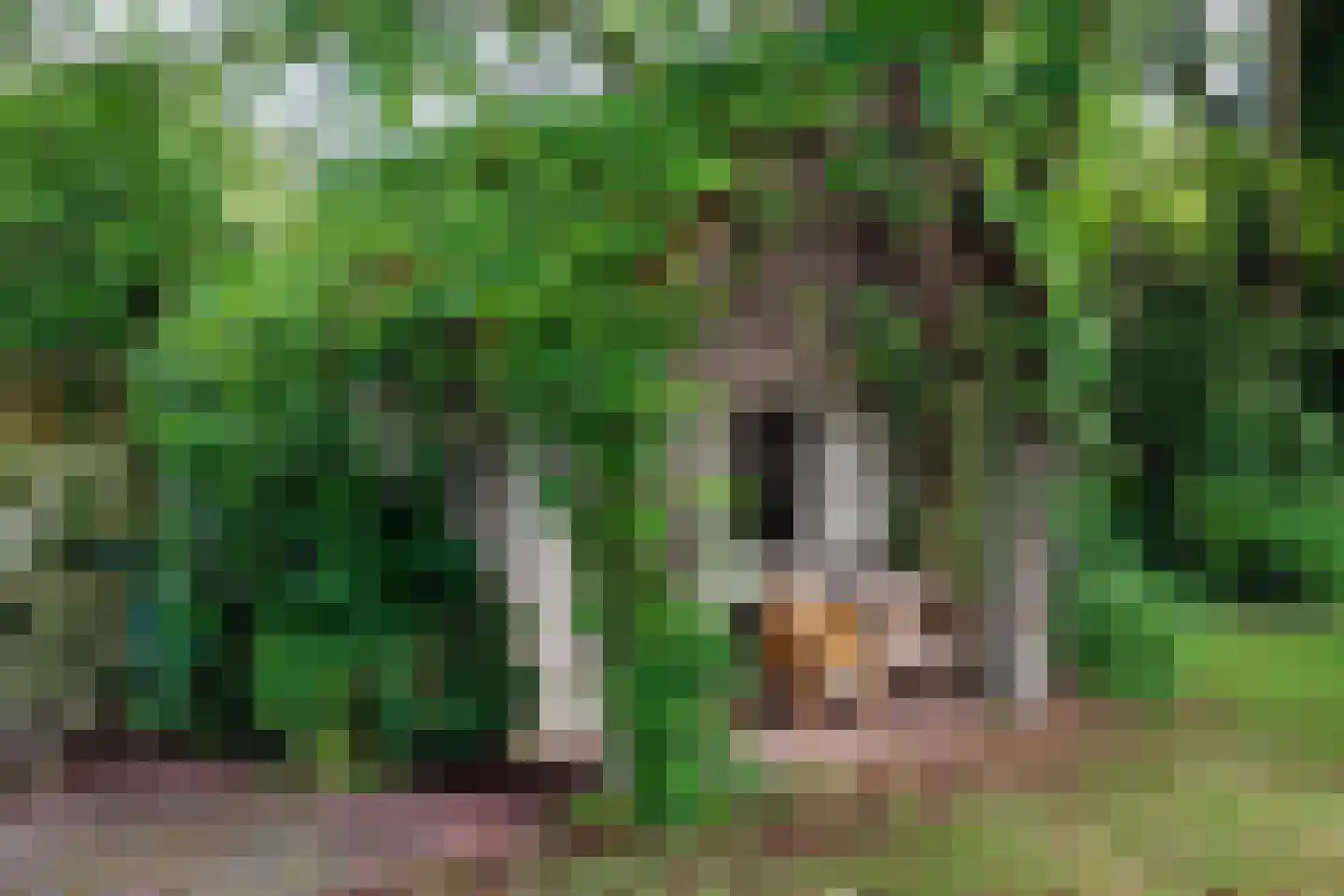 Bloemenstraat 42 Milsbeek thumbnail 82