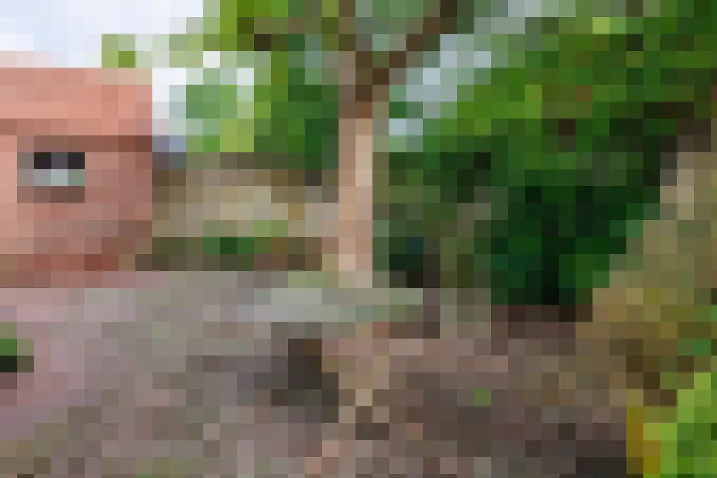 Bloemenstraat 42 Milsbeek thumbnail 84