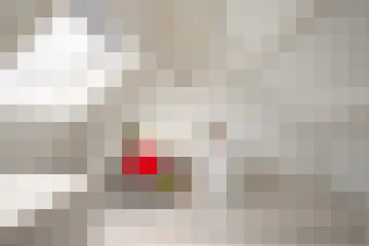Bloemenstraat 5 Heerlen thumbnail 19