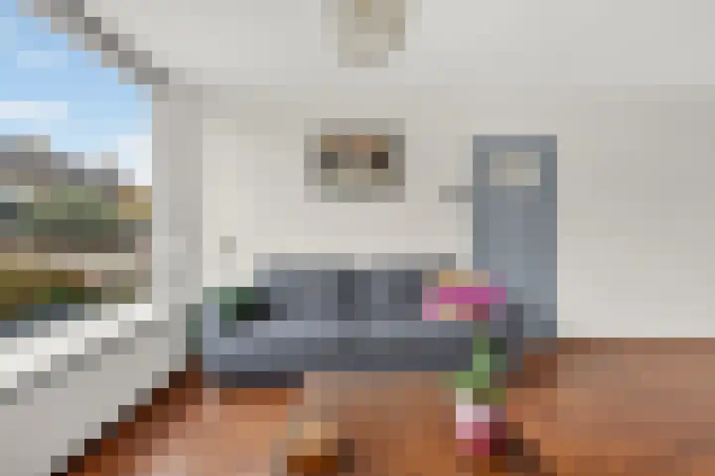 Bloemenstraat 50 Ridderkerk thumbnail 15