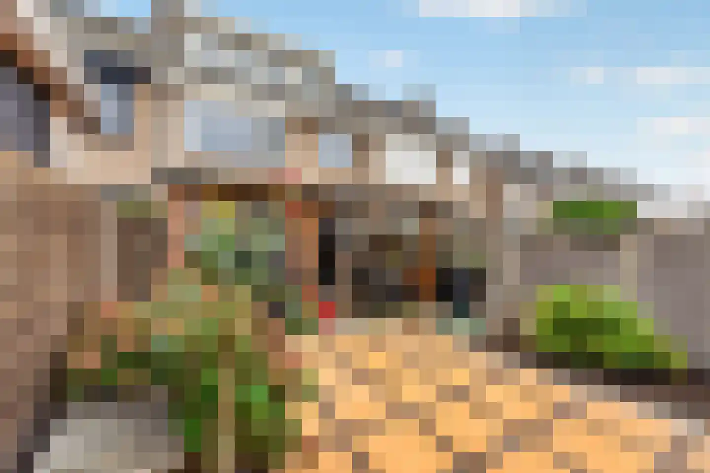Bloemenstraat 50 Ridderkerk thumbnail 38