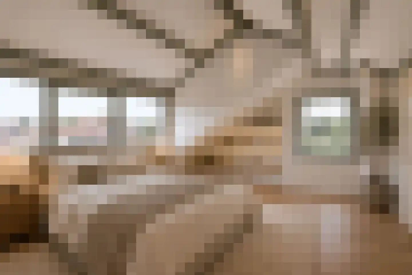 Bloemenstraat 50 Ter Aar thumbnail 22