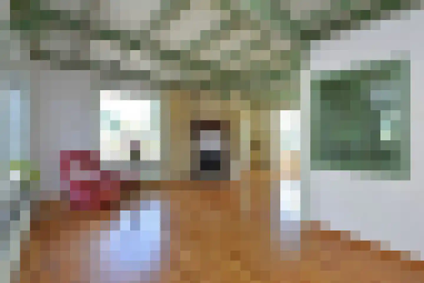 Bloemenstraat 50 Ter Aar thumbnail 4