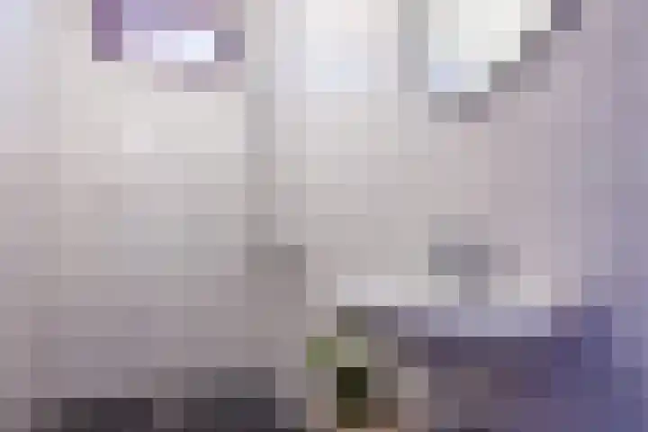 Bloemenstraat 52 Milsbeek thumbnail 17