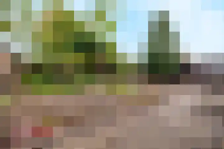 Bloemenstraat 52 Milsbeek thumbnail 24